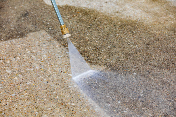 Boat and Dock Cleaning in Millington, MI