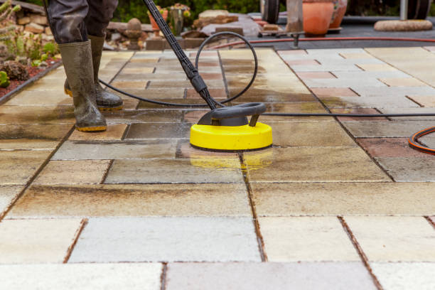 Best Boat and Dock Cleaning  in Llington, MI