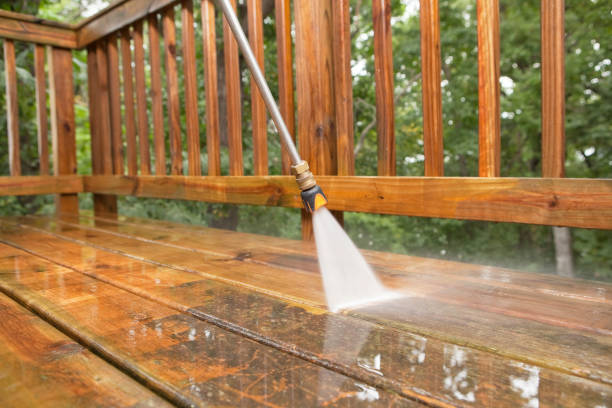 Best Solar Panel Cleaning  in Llington, MI